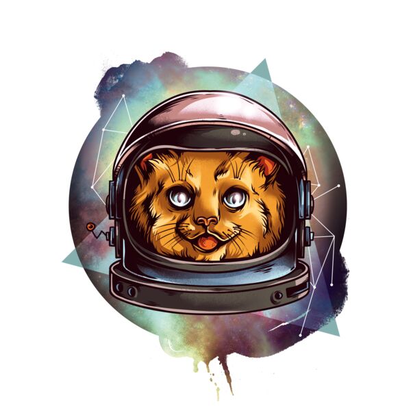 Cosmic Cat Thumbnail